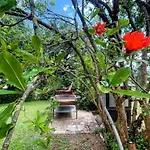 Villa Spoleto Tranquilita Sleeps 16 With Wifi Pool Yoga Gardens And Views