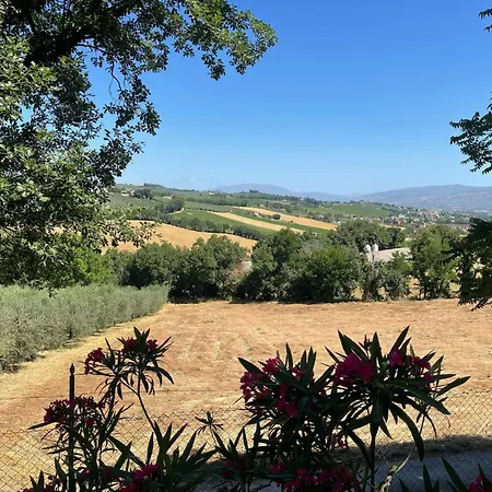 Spoleto Tranquilita Sleeps 16 With Wifi Pool Yoga Gardens And Views ヴィラ *