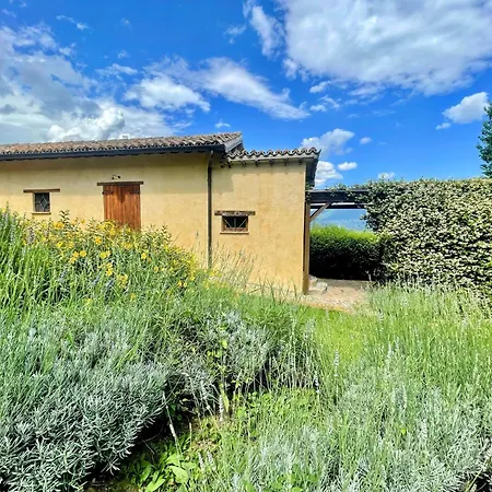 Spoleto Tranquilita Sleeps 16 With Wifi Pool Yoga Gardens And Views ヴィラ