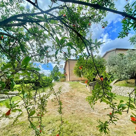 ヴィラ Spoleto Tranquilita Sleeps 16 With Wifi Pool Yoga Gardens And Views