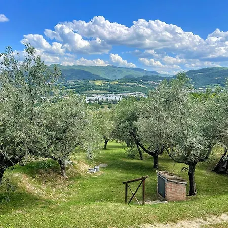 Spoleto Tranquilita Sleeps 16 With Wifi Pool Yoga Gardens And Views Morro