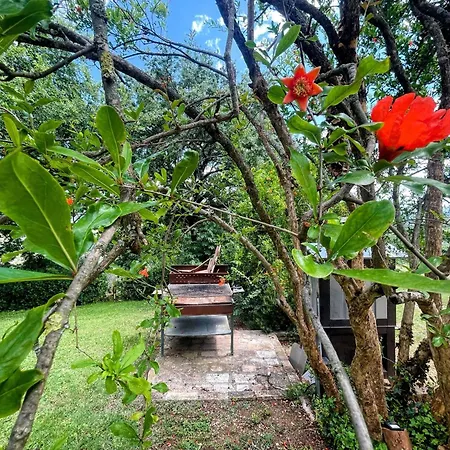 ヴィラ Spoleto Tranquilita Sleeps 16 With Wifi Pool Yoga Gardens And Views