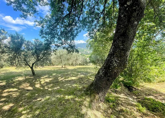 Vila Spoleto Tranquilita Sleeps 16 With Wifi Pool Yoga Gardens And Views Morro