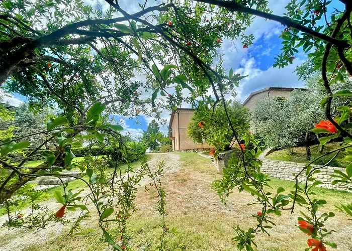 Vila Spoleto Tranquilita Sleeps 16 With Wifi Pool Yoga Gardens And Views
