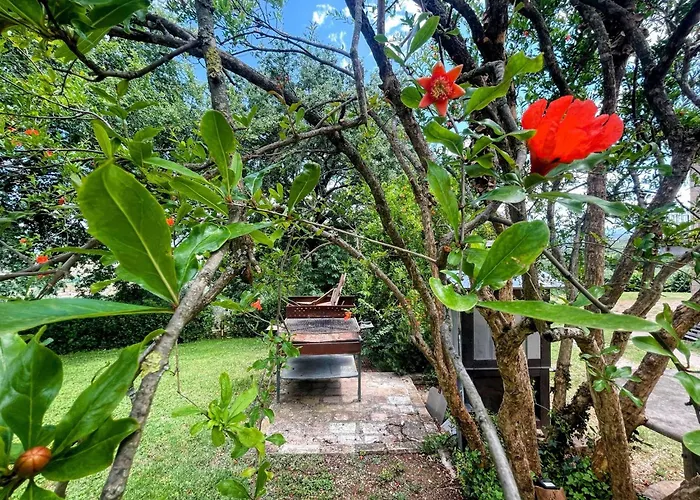 Vila Spoleto Tranquilita Sleeps 16 With Wifi Pool Yoga Gardens And Views